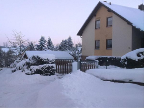 Cozy Apartment in Oelsnitz with Ore Mountains View